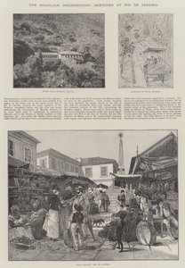 The Brazilian Insurrection, Sketches at Rio de Janeiro